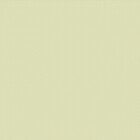 Респект DM 27, салатовый